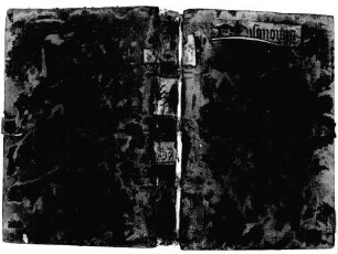 Physiognomia Aristotelis - BSB Clm 637