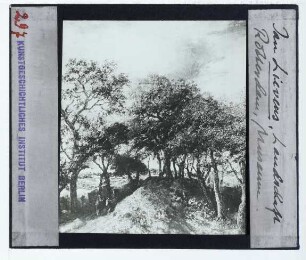 Lievens, Dünenlandschaft mit Bäumen (Rotterdam, Boijmans)