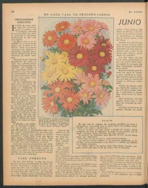 En cada casa un pequeño jardin : Junio
