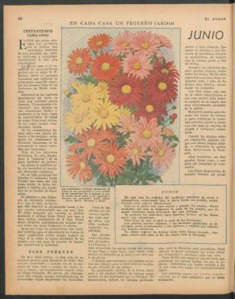 En cada casa un pequeño jardin : Junio
