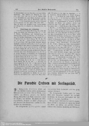 Die Parochie Trebsen mit Seelingstädt