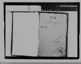 . Überschuldung der Grafschaft Anhalt-Schaumburg: Band 3 (Verfahren vor dem Reichshofrat)