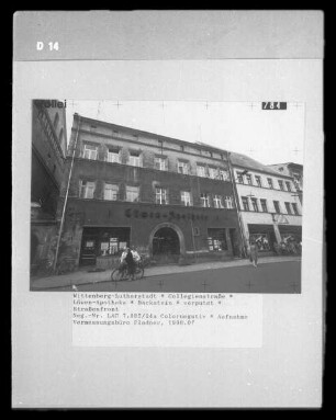 Löwen-Apotheke