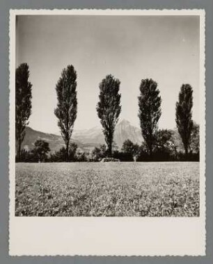 Am Thunersee mit Wiesen