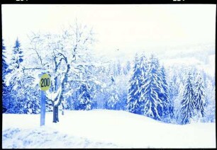 keine Beschreibung [Dornbirn: Winterliche Höhenstraße, Bundesstraße 200 bei Dornbirn]