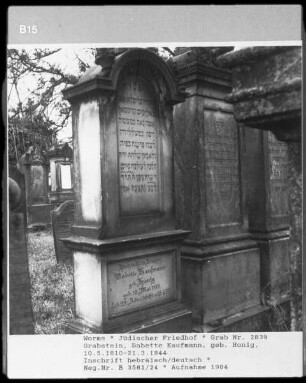 Grabstein von Babette Kaufmann, geborene Honig (1844.03.21)