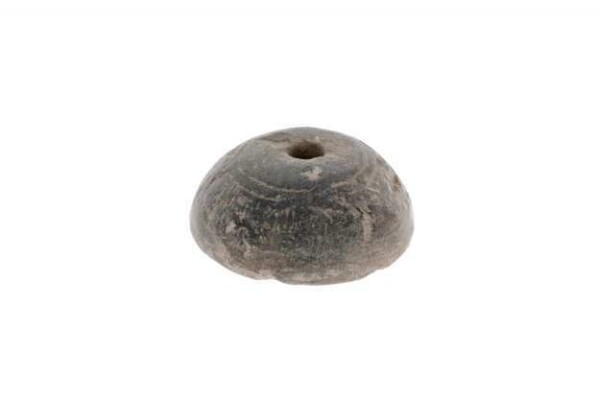 Clay whorl