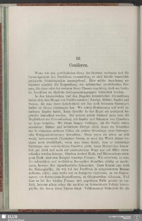 III. Coniferen