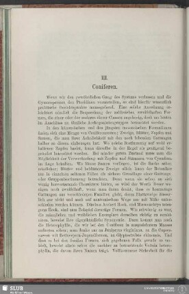 III. Coniferen