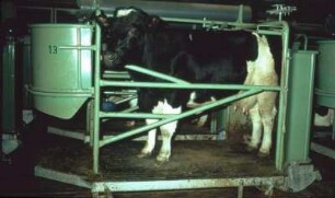Unicar Anlage bei der FAL-Völkenrode