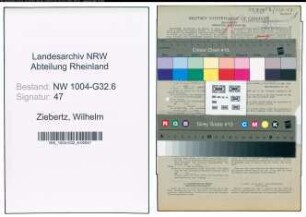 Entnazifizierung Wilhelm Ziebertz , geb. 10.08.1909 (Mehlhaendler)