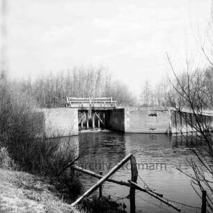 Ehlersberg: Alster: Tangstedter Schleuse [auch: Heidkruger oder Ehlersberger Schleuse]: vorn Zaun an Uferböschung: rechts und links Sträucher: hinten Bäume