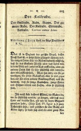 Der Kolkrabe.