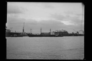 Susanne Reith (1958), Orion, Hamburg