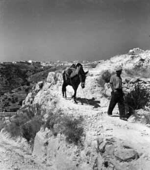 Italien. Pilgerweg vom Monte Gargano nach Monte Sant’Angelo in Apulien. Ansicht mit Eselführer