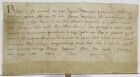 König Rudolf bestätigt alle kaiserlichen und königlichen Privilegien und Freiheiten der Stadt Ulm.