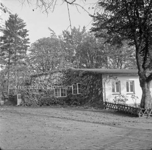 Jugendherberge: Bürgerpark: Umbau und Sanierung: Giebelwand: rechts davor Vorgarten mit Jägerzaun: hinten Bäume