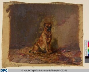 Sitzender Hund von vorn