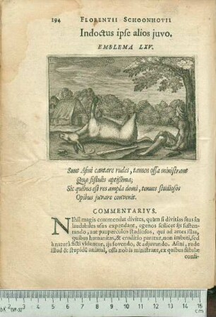 Indoctus ipse alios juvo. Emblema LXV.