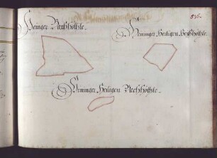 Holzheimer Hut: Heininger Bannhölzle, Heiligen Heyßhölzle, Heiligen Bachhölzle