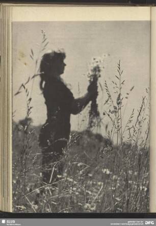 Blumen pflücken