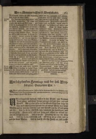 Am sechzehenden Sonntage nach der heil. Dreyfaltigkeit / Evangelium Luc. 7.