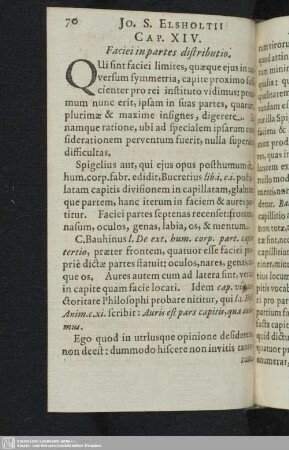 XIV. Faciei in partes distributio