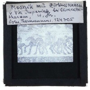 Mosaik mit Zirkusrennen (Rom, Mus. Pal. Massimo)