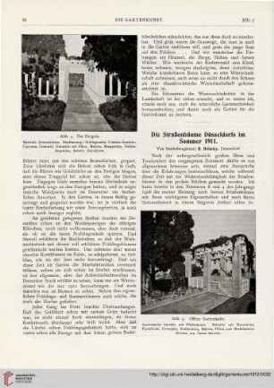 14: Die Straßenbäume Düsseldorfs im Sommer 1911
