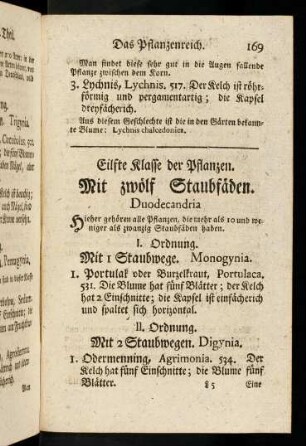 169-171, Mit zwölf Staubfäden