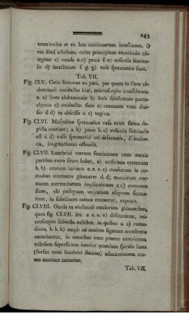 Tab. VII. [Abb. siehe römische Paginierung]