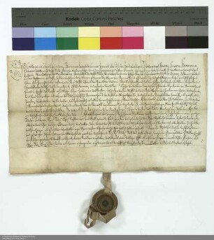 Revers Katharina Apollonias von Bommersheim bezüglich der Belehnung mit dem fuldischen Hof in Bommersheim und weiteren im Einzelnen aufgeführten Lehen durch Hermann Georg [von Neuhof], Abt von Fulda