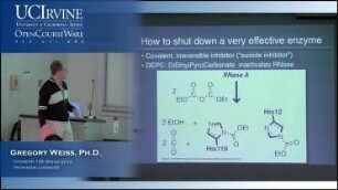 Lecture 08. RNA.: Part 1