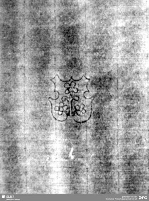Wasserzeichen S.13_14