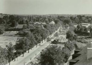 Dresden. Blick vom Turm der Arbeiter- und Bauern-Fakultät der Technischen Hochschule Dresden, Teplitzer Straße, nach Südosten Richtung Leubnitz-Neuostra