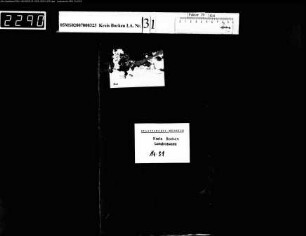 Zensur von Druckschriften, Liedertexten und Bildern
