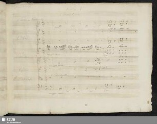 Cavatina: Son bello son amabile