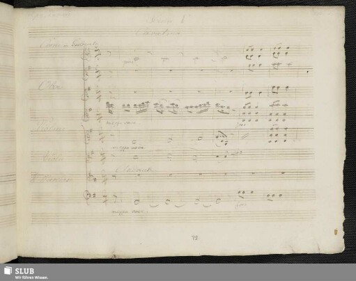 Cavatina: Son bello son amabile