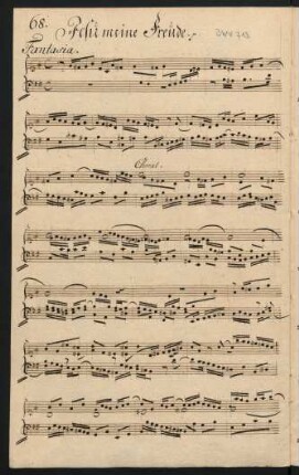 Jesu meine Freude; org; e-Moll; BWV 713