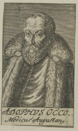 Bildnis des Adolphus Occo