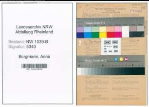 Entnazifizierung Anna Borgmann , geb. 10.03.1897 (Lehrerin)