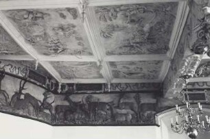 Hirsche und Rehe