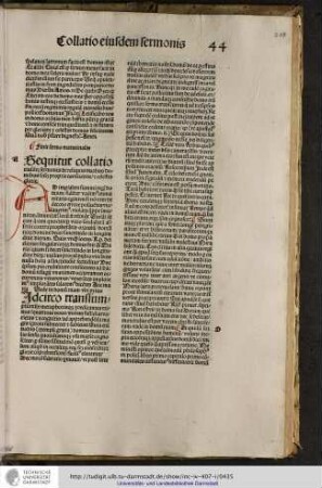 Sequitur collatio eiusdem sermonis de reliquis duabus dominibus scilicet proprie conscientie et celestis glorie.