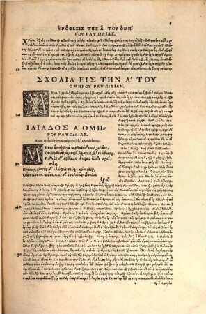 Homēru Ilias Kai Odysseia : Meta Tēs Exēgēsios = Homeri Ilias Et Vlyssea