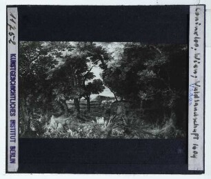 Coninxloo, Waldlandschaft (Liechtenstein PC 753)