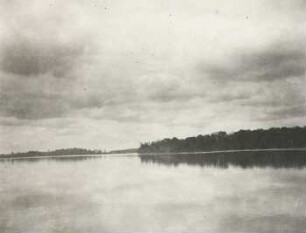 Uferwald bei Rio Guayas