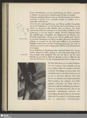 Knospen der Tradescantia, Tradescantia virginica
