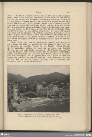 Bahnviadukt und alte Brücke in Bogliasco bei Nervi