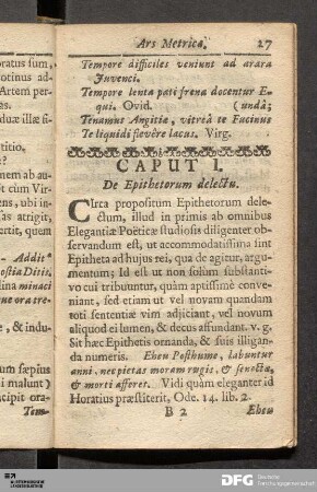 Caput I. De Epithetorum delectu.