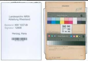 Entnazifizierung Hans Herzog , geb. 31.01.1903 (Kaufm.Angestellter)